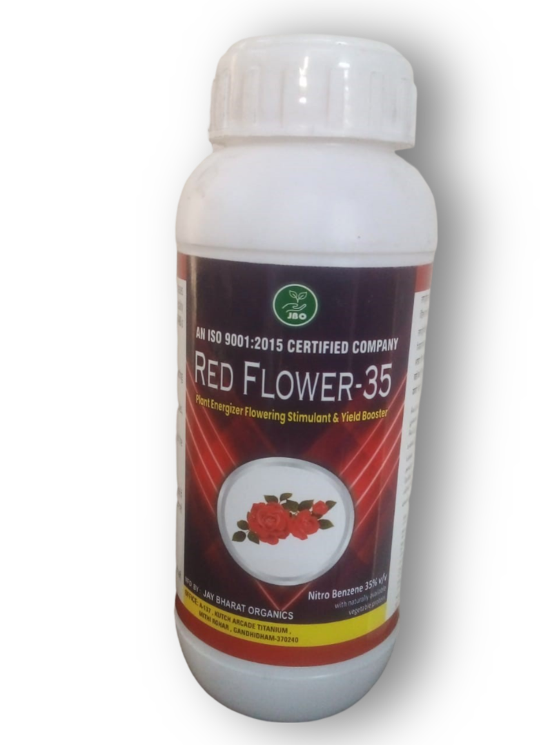 RED FLOWER-35